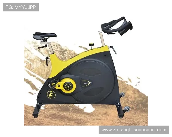 宝迪龙健身器材品牌介绍及产品特点分析